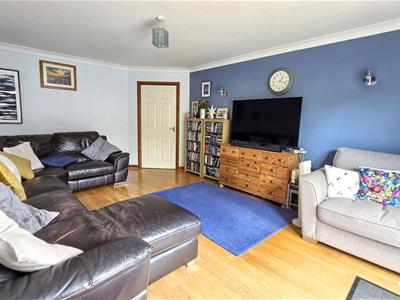 Picture 7